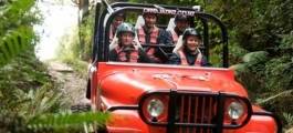 4WD Bush Safari