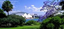 Royal Botanic Gardens