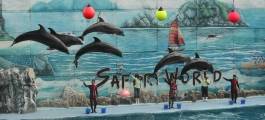 Safari World