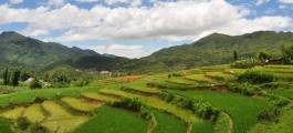 Sapa