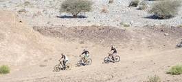Showka Bicycles