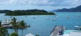 Shute Harbour
