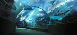 Siam Ocean World