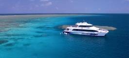 Silverswift Snorkelling and Diving Adventure from Cairns
