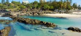 Snapper Rocks, Coolangatta