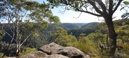 SPRINGWOOD