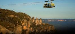 SCENIC WORLD