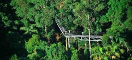 Tamborine Mountain