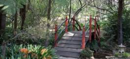 Tamborine Mountain Botanical Gardens, Tamborine Mountain