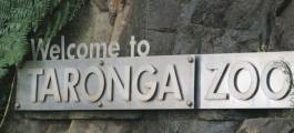 Wild Australia Experience at Taronga Zoo