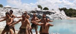 Discover Rotorua - Te Puia, Rainbow Springs and Agrodome