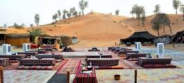 The Bedouin Oasis Camp