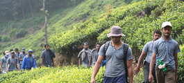 Trekking In Munnar