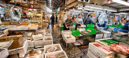 Tsukiji Fish Market