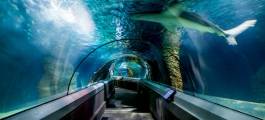 UnderWater World, Mooloolaba