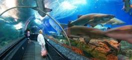 Underwater World, Pattaya