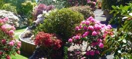 Waipahihi Botanical Gardens