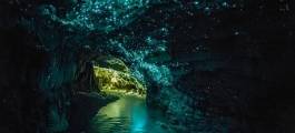 Waitomo Caves and Rotorua Deluxe Day Tour from Auckland