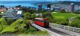 Wellington City Sights Tour