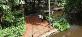 Wildlife Habitat Port Douglas