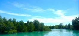Willie Creek Pearl Farm