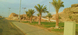 Yanbu Al Nakhel