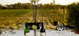 Yarra Valley Gourmet Tour