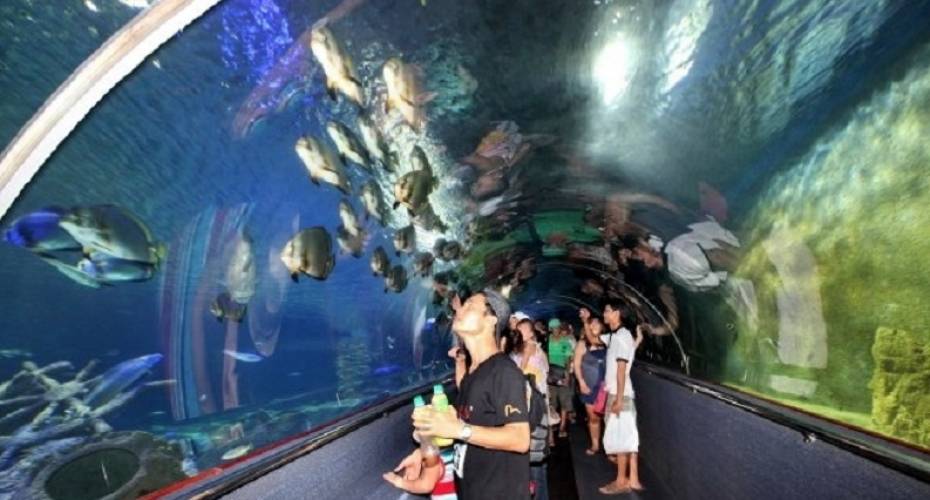 attraction-img