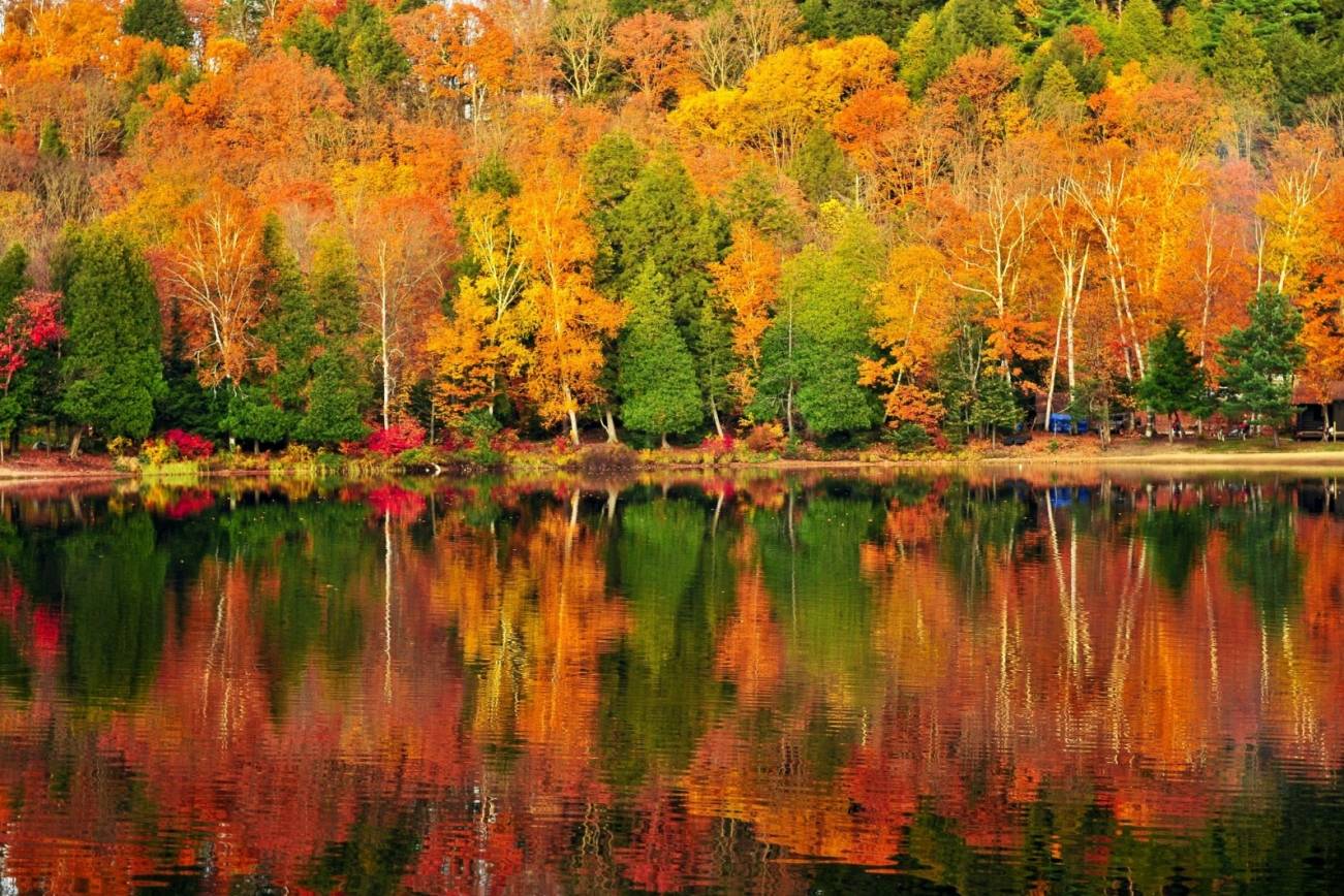 What to do in Algonquin Park