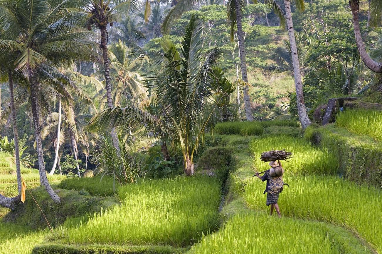 The Centre of the World 