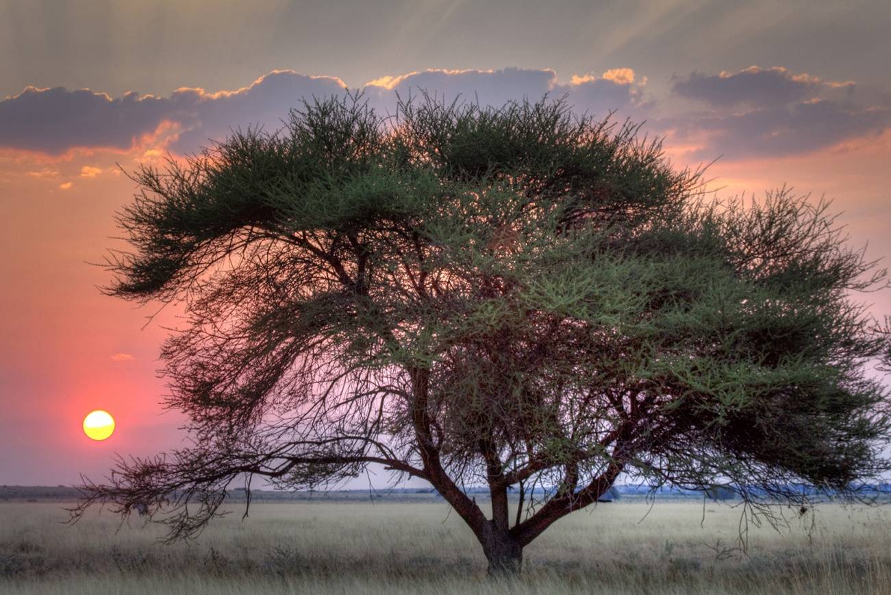 Magnificent Skies and landscapes