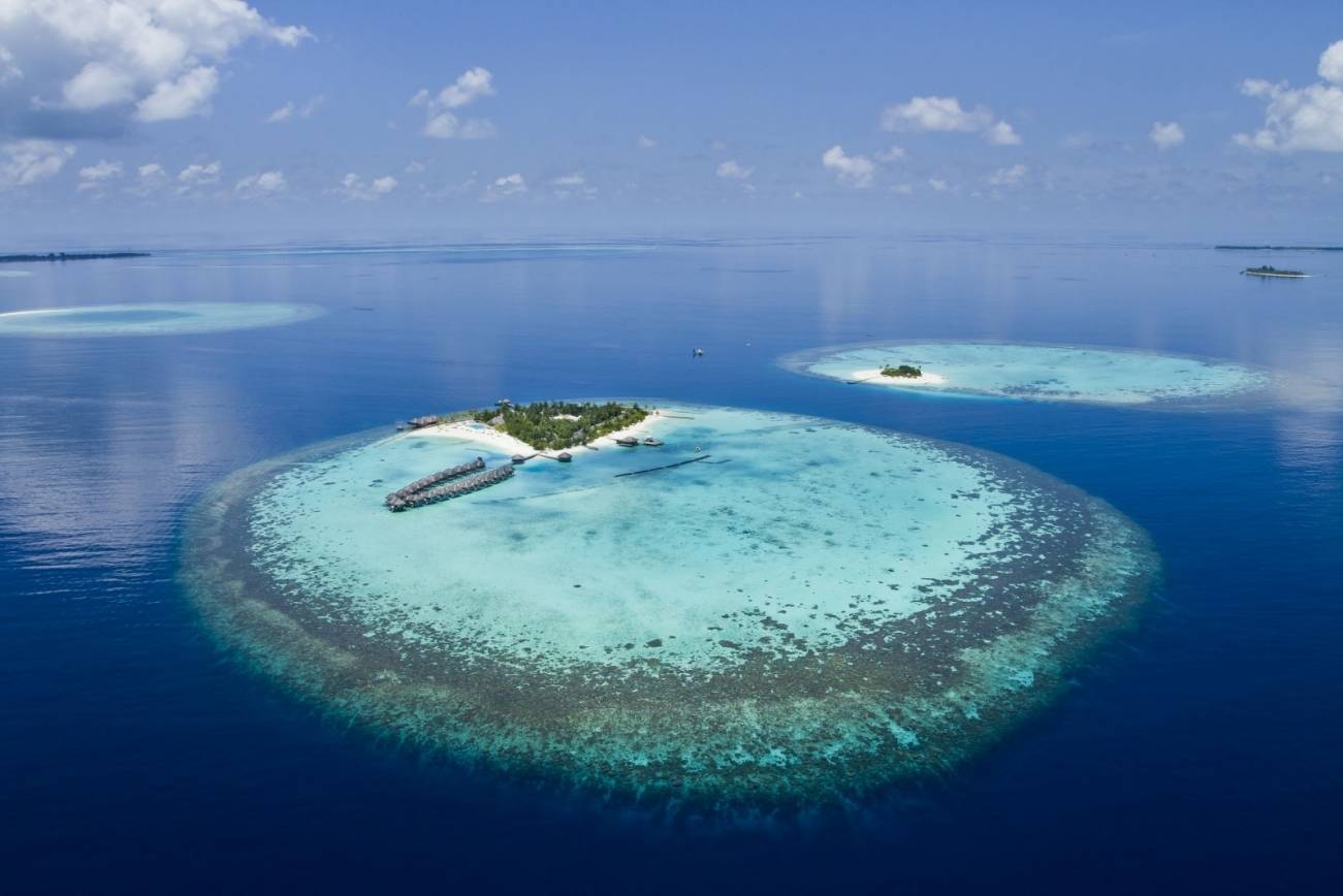 Coral Reefs