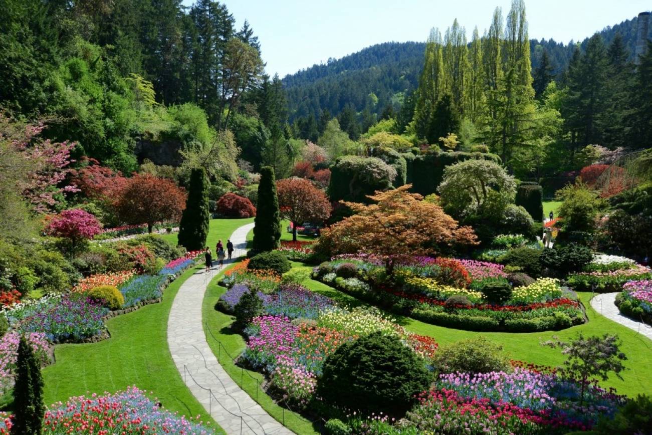 Delightful Gardens