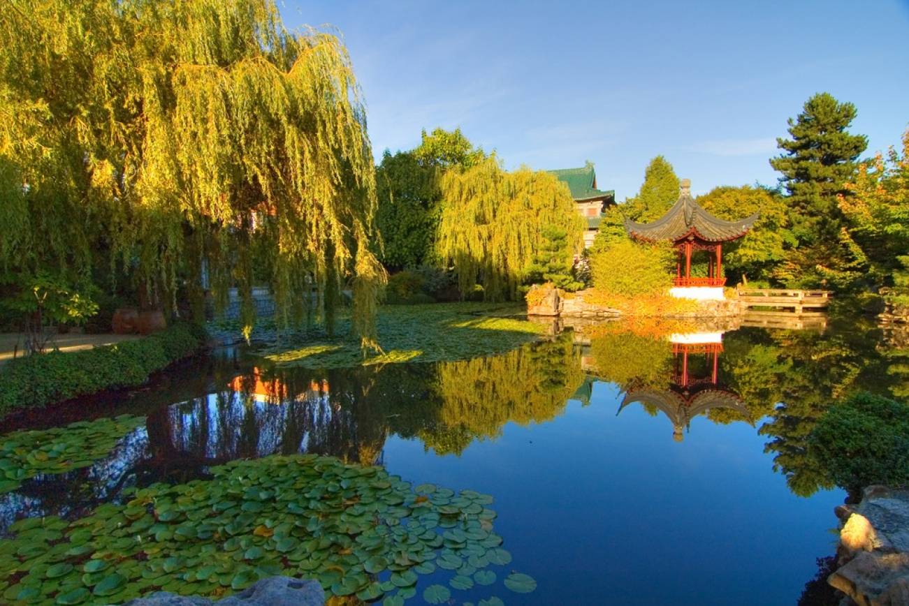 Splendid Parks