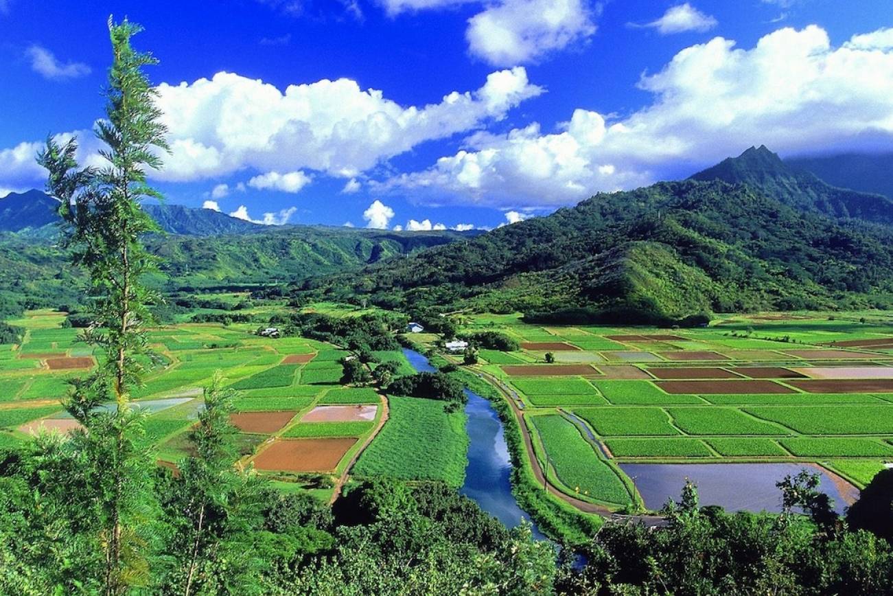 The North Shore: Where Beauty Thrives in Seclusion