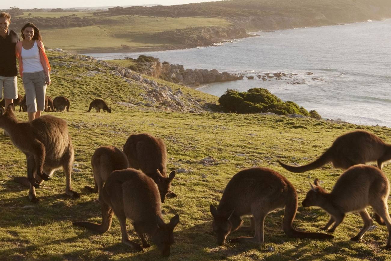 Wildlife in their natural habitat