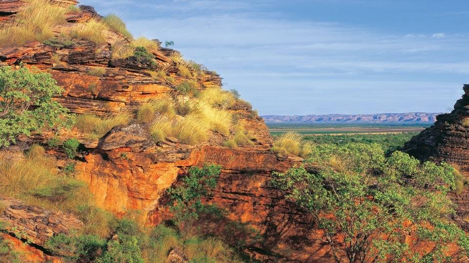 Aboriginal History