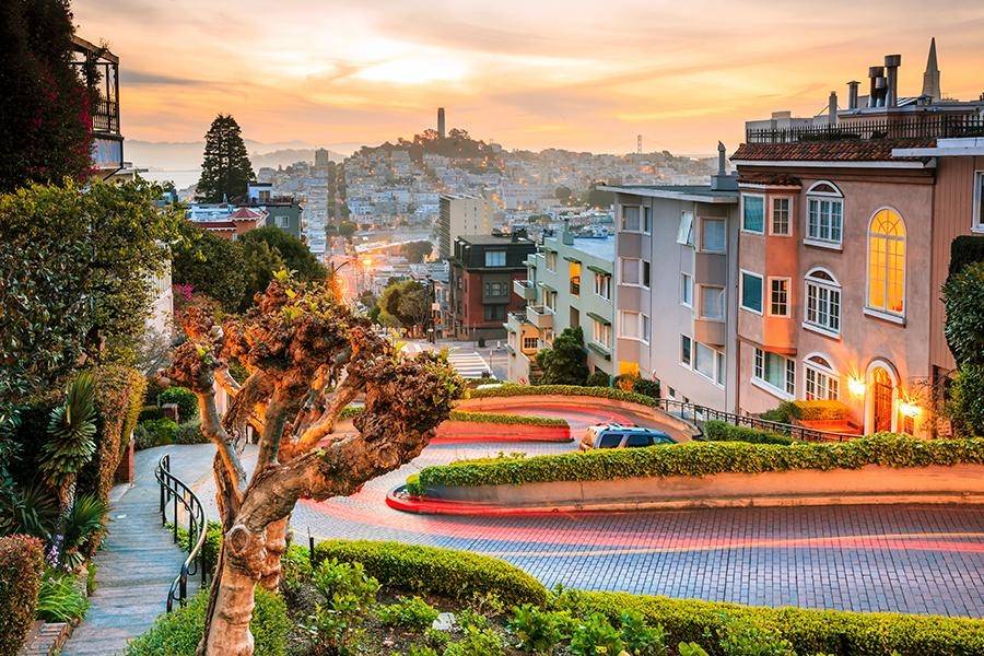 Lombard & the Library