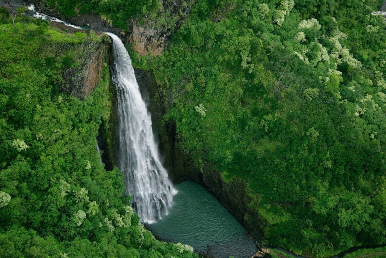 Trails That Lead You to Nature’s Hidden Gems