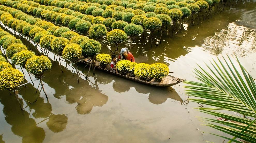 More Than Just Paddy Fields