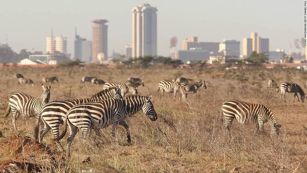 Your gateway to Kenya
