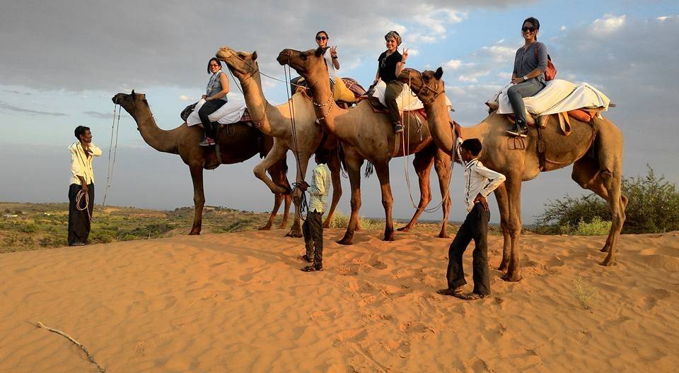 Favorite Attractions