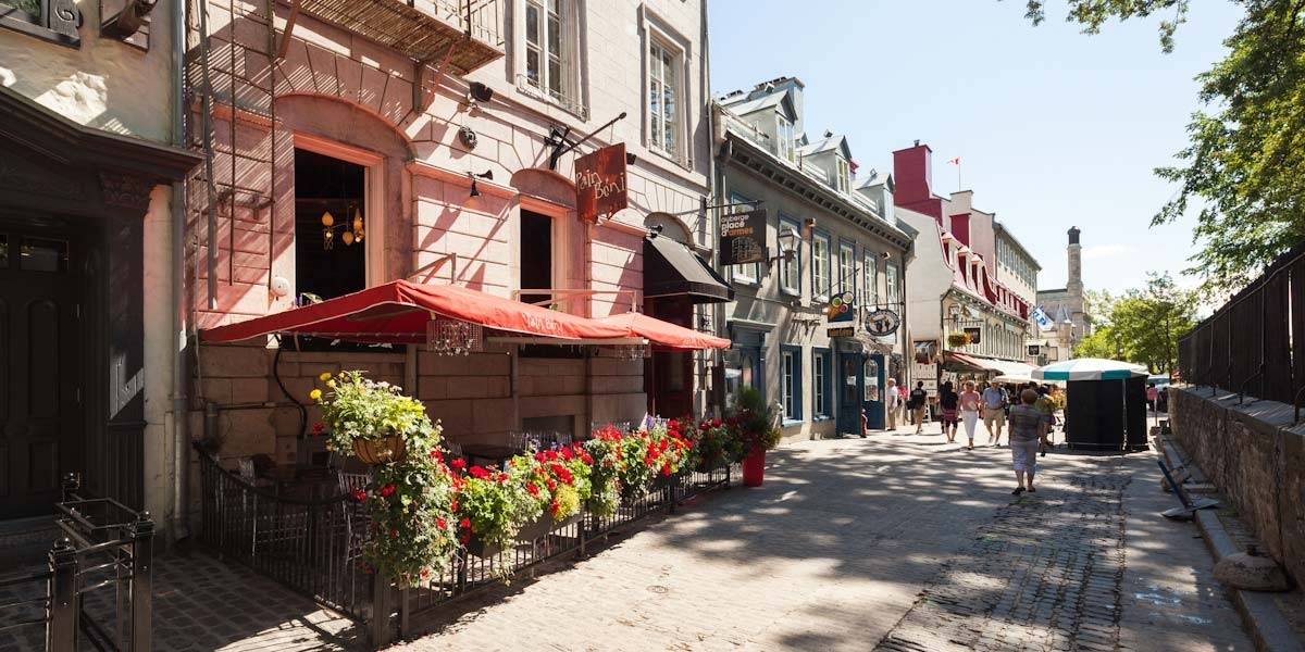 Discovering Beauty and Grandeur on Your Walks