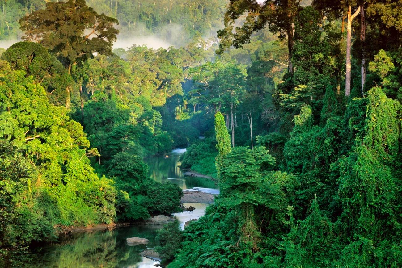 Sabah Tourism