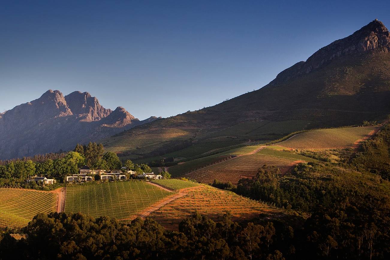 Winelands Setting