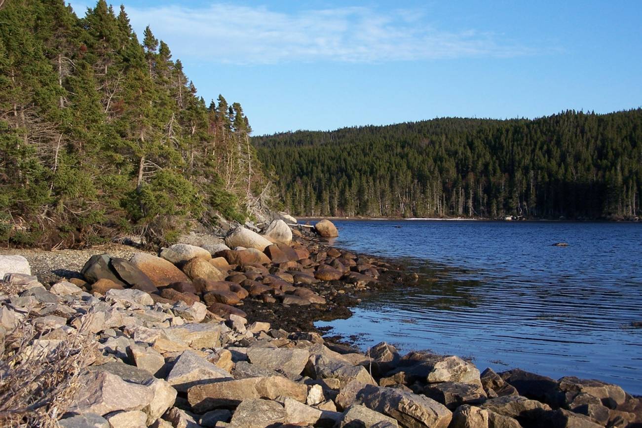Terra Nova National Park