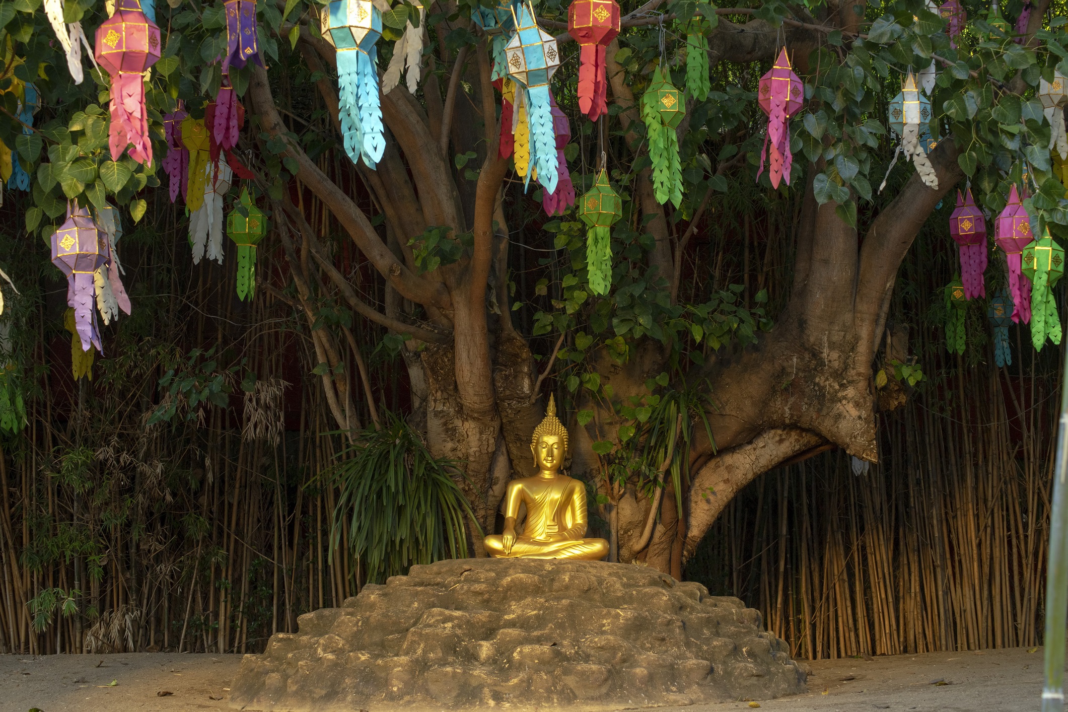 Buddha at Wat Phantao