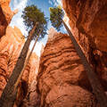 National Park Treasures Escorted Tours