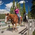 Western Canada Rocky Mountain Experience Via Kamloops Self Drive