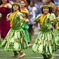 Aloha Discovery Escorted Tours